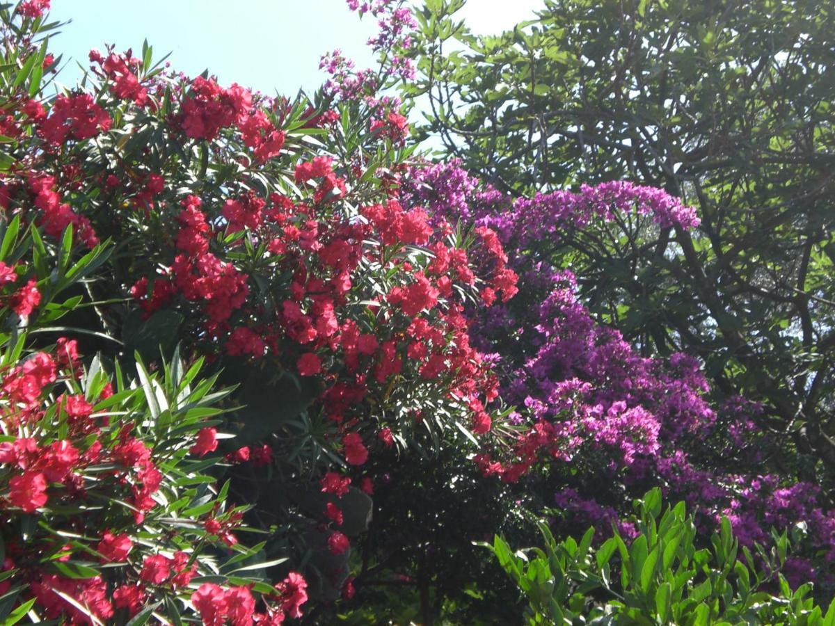 Villa Marin โมลูนัท ภายนอก รูปภาพ